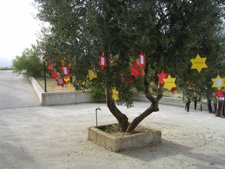 016 il deserto