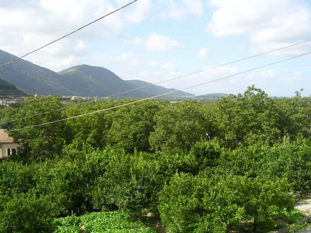 PICT0020