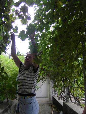 PICT0043
